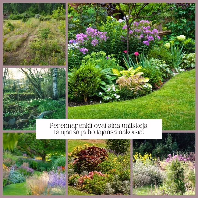 perennapenkin perustaminen tuo puutarhaan väriä ja vaihtelua