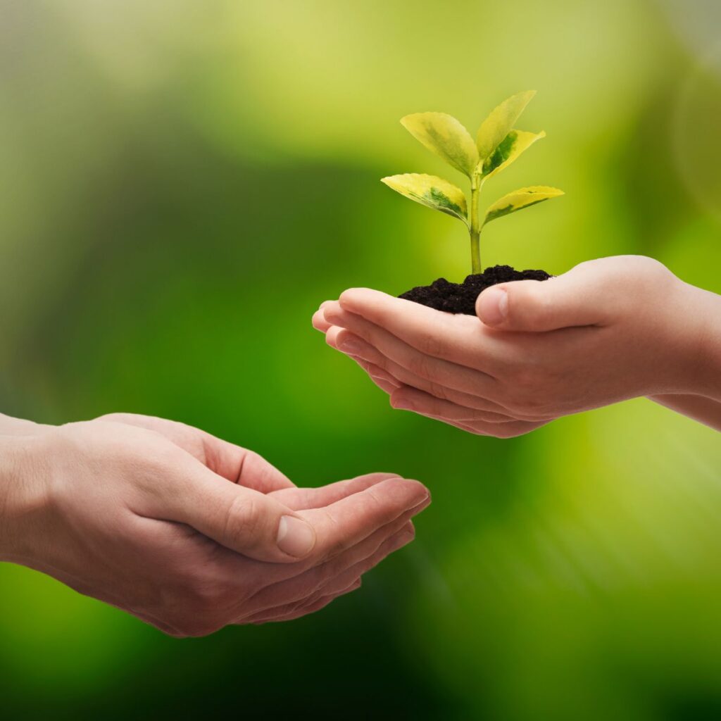 vapaamuotoinen vastuullisuusviestintä