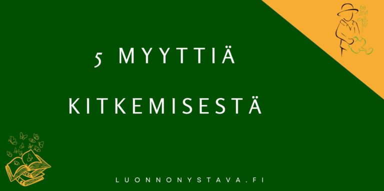 Puutarhan rikkaruohojen kitkeminen