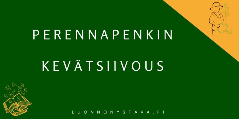 Perennapenkin kevätsiivous