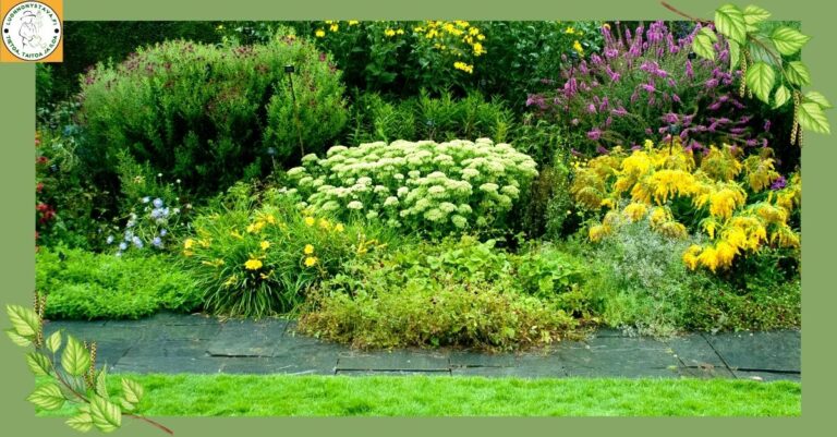 Perennapenkin perustaminen – näin onnistut helposti ja luonnonmukaisesti