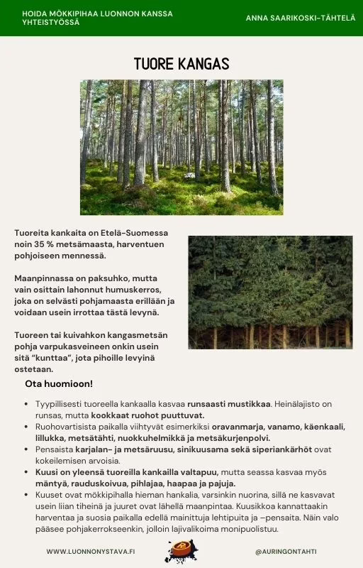 Luonnonystävän Metsäinen Mökkipiha - Image 3