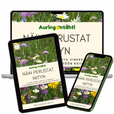 Näin perustat niityn e-kirja