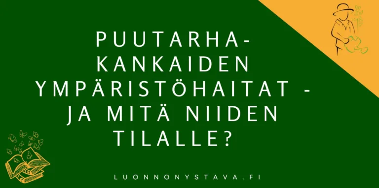 Katekankaiden haitat