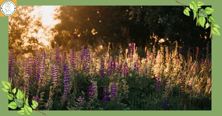 Miksi vieraslajit luonnossa ovat haitallisia?