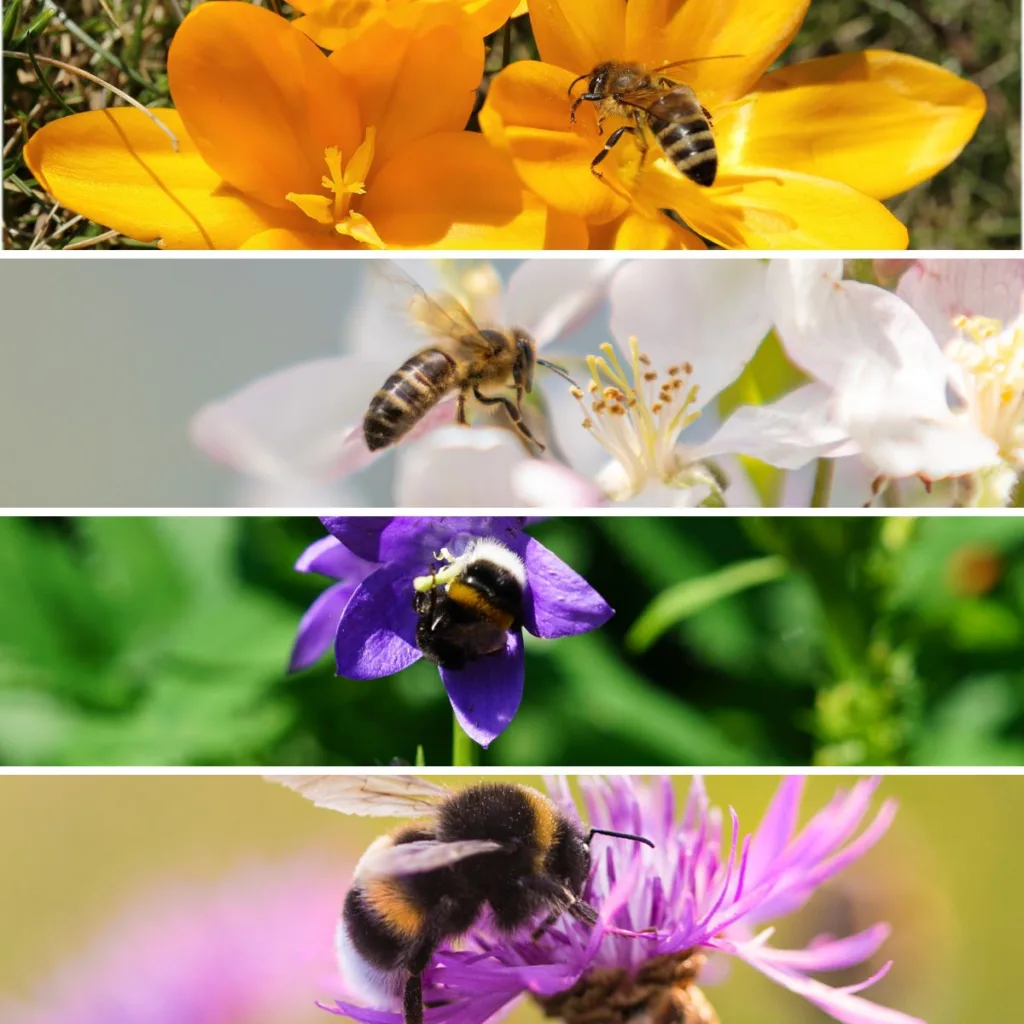 lisää pölyttäjiä