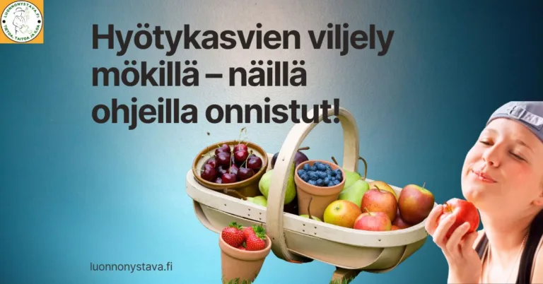 Hyötykasvien viljely mökillä – näin onnistut!