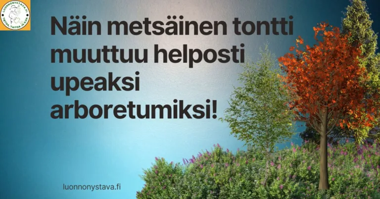 Arboretumin perustaminen metsäiselle tontille