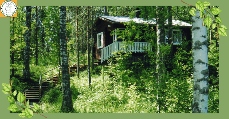 Metsäinen mökkipiha – 5 virhettä, joita et halua tehdä (ja miten vältät ne)
