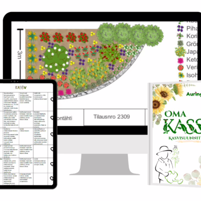 OmaKassu - näin toteutat suunnitelman