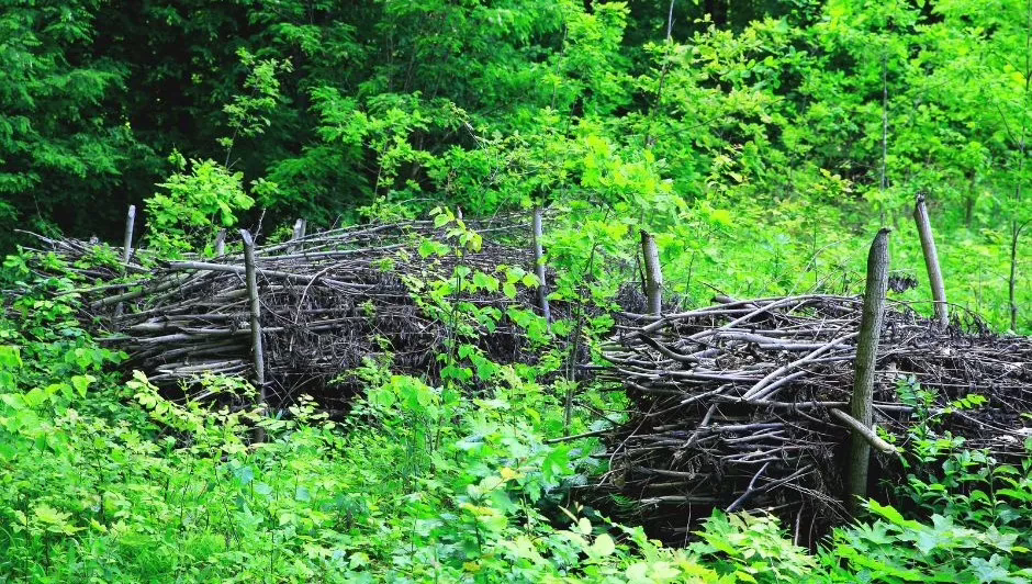 Puutarhan siivous - tee risuaita!