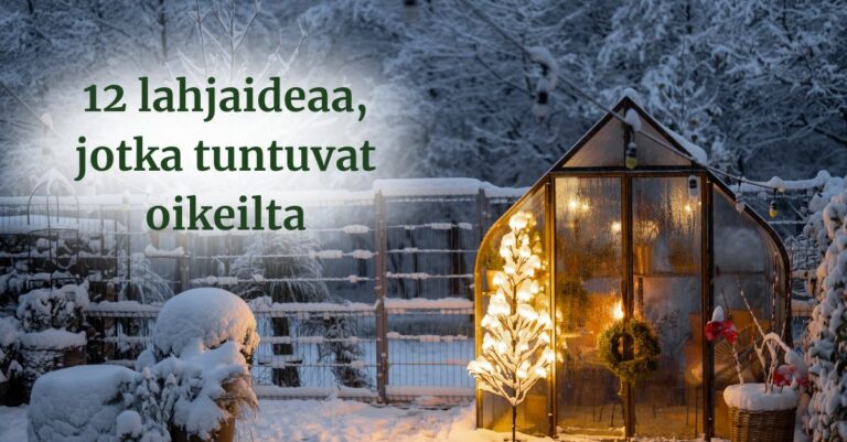 Ekologiset joululahjat puutarhaihmiselle – 12 ideaa, jotka tuntuvat oikeilta