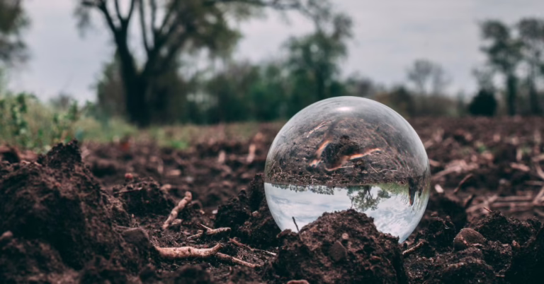 Mitä hyönteisiä löytyy pihalta? 7 hauskaa tutkimusvinkkiä koko perheelle
