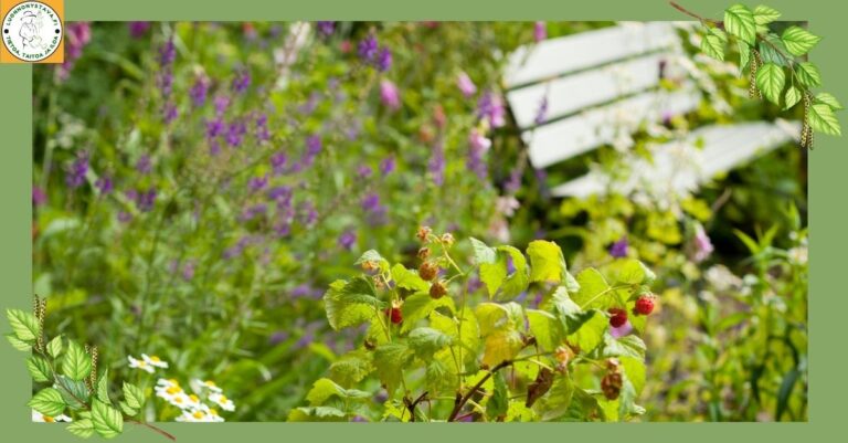 Puutarha, joka ei vaadi: hoitovapaa piha luonnon ehdoilla