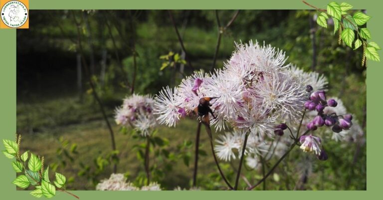 Miksi ekopuutarha ei ole trendi – vaan elämäntapa?