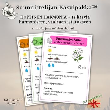 Suunnittelijan Kasvipakka™: Hopeinen Harmonia