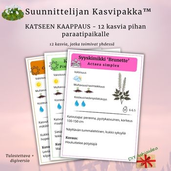 Suunnittelijan Kasvipakka™: Katseenkaappaus