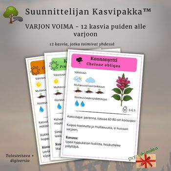 Suunnittelijan Kasvipakka™: Varjon voima