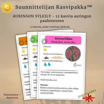 Suunnittelijan Kasvipakka™: Auringon Syleily