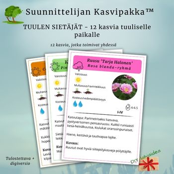 Suunnittelijan Kasvipakka™: Tuulen Sietäjät