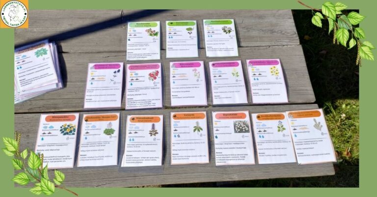 Kasvien valinta muuttuu peliksi – Pelaa kasvisuunnitelma valmiiksi Kasvipakoilla