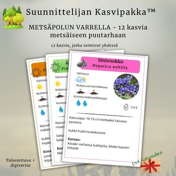 Suunnittelijan Kasvipakka™: Metsäpolun varrella