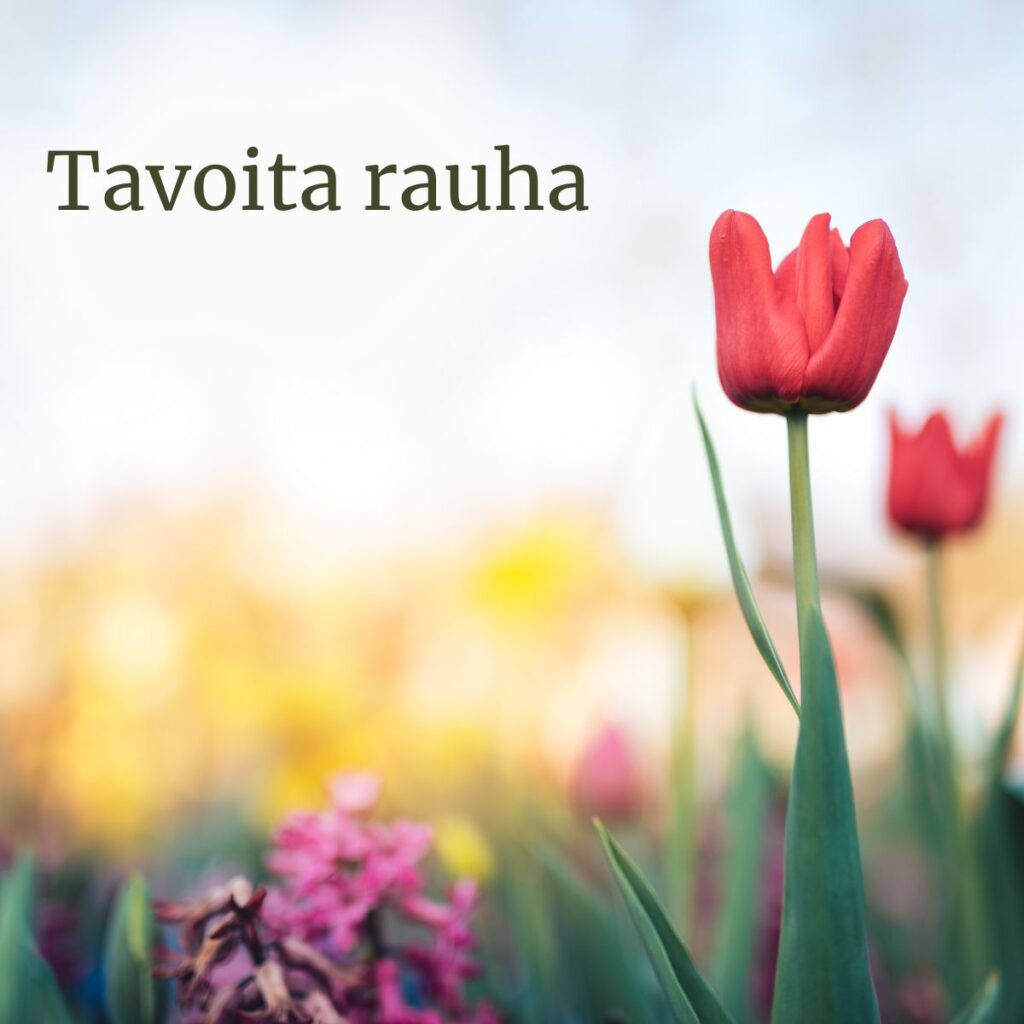 Hyvin suunniteltu piha tuo rauhaa kevääseen.