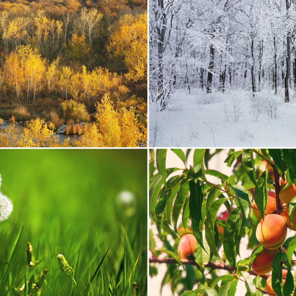 Vuodenajat rytmittävät pihan hoitoa ja vähentävät yhtäaikaista työmäärää