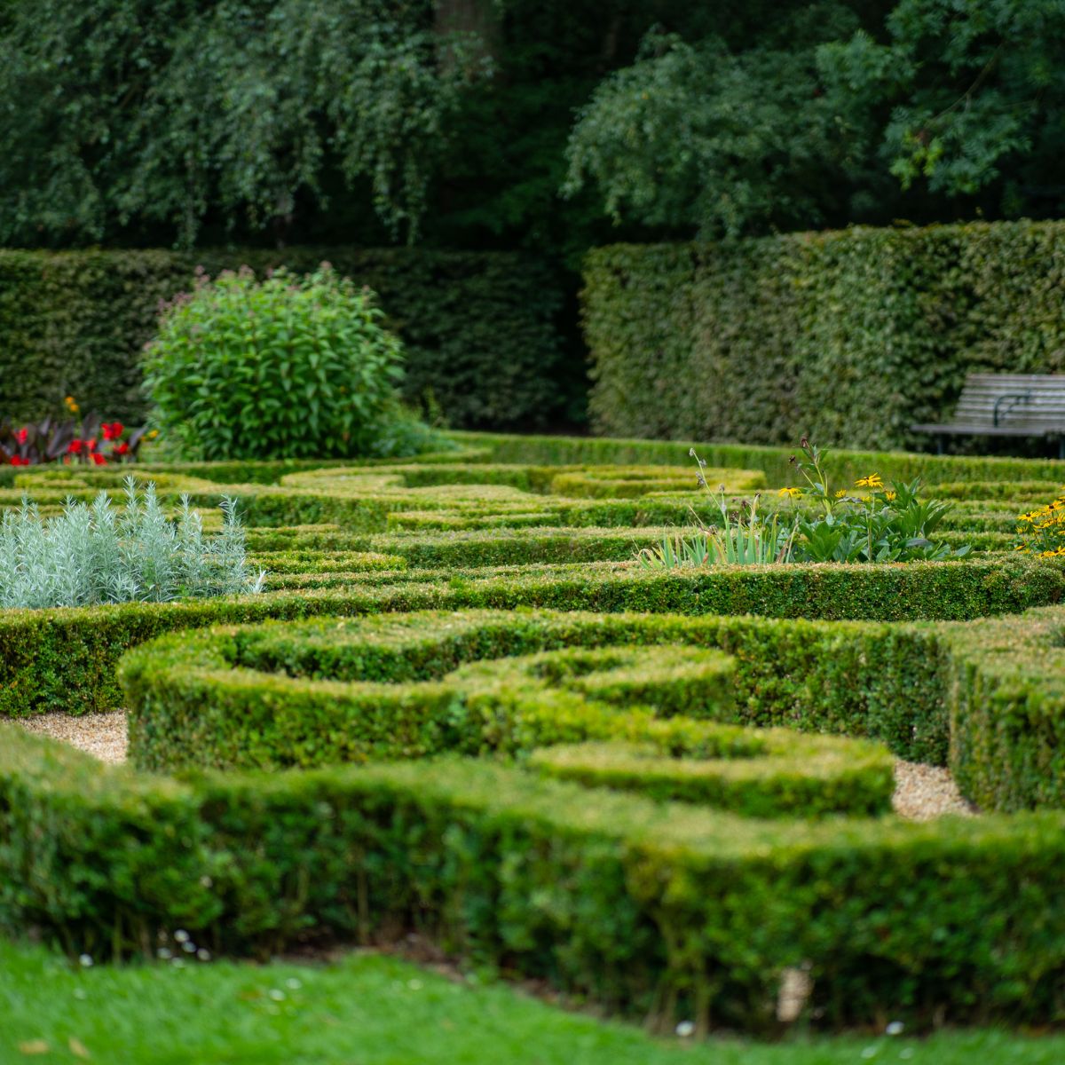 Geometrinen muotopuutarha, jossa kasvit on istutettu tarkasti rajattuihin muotoihin