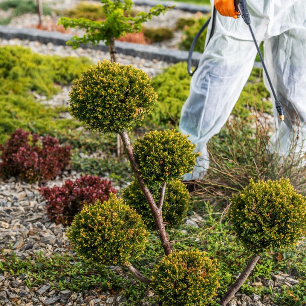 Kasvien torjunta ruiskuttamalla suojavarusteissa puutarhassa
