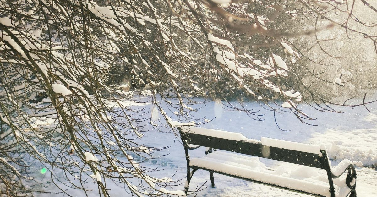 Pihan suunnittelu helmikuussa auttaa välttämään kevään kiireen.