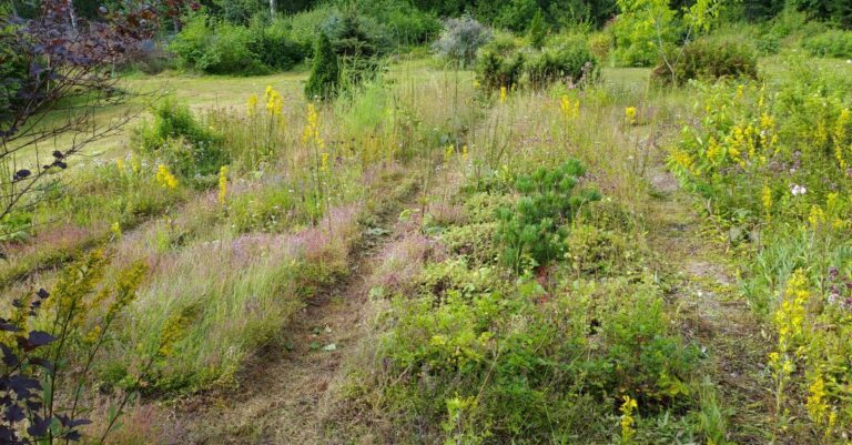 Kerroksellinen ja kasvipeitteinen istutus vähentää hoitotyötä