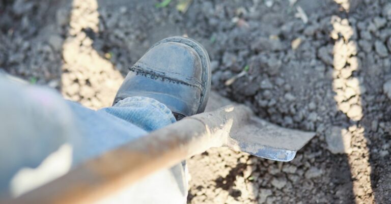 Kasvivalinnat eivät epäonnistu siksi, että kasvi on huono – vaan siksi, että paikka tulkitaan väärin