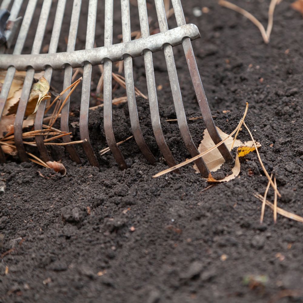 Haravointi keväällä – paljas maa ja lehtien poistaminen liian aikaisin